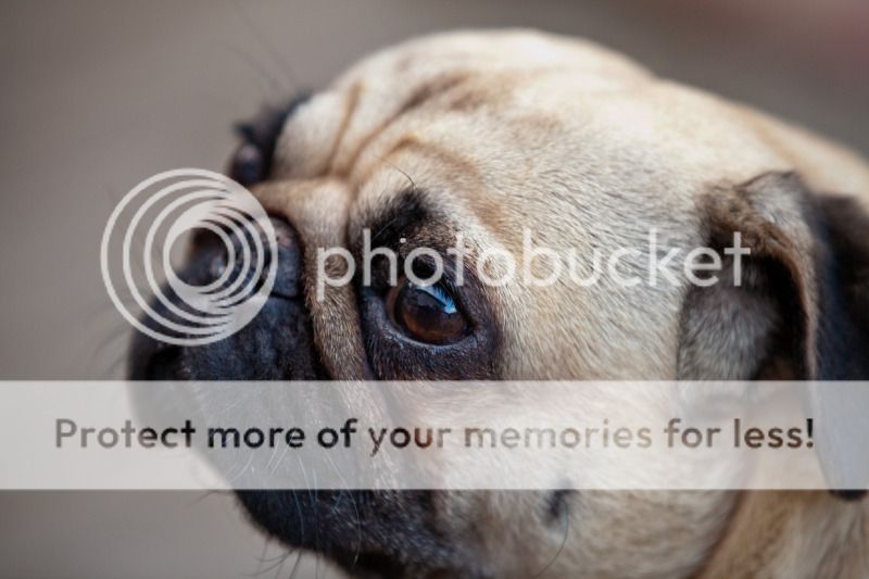 IMAGE: http://i495.photobucket.com/albums/rr311/X--FU51ON--X/June18th201228of32.jpg