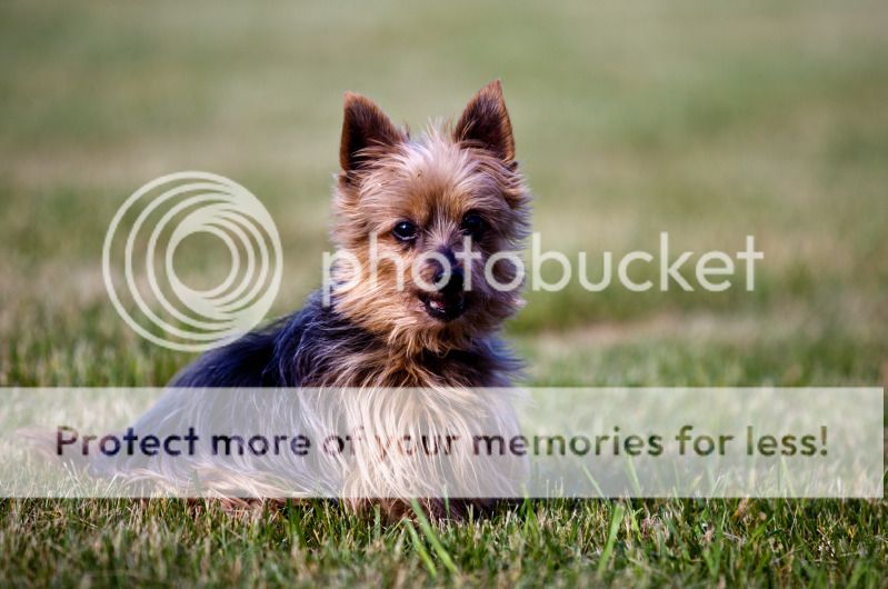 IMAGE: http://i495.photobucket.com/albums/rr311/X--FU51ON--X/June18th20124of32.jpg