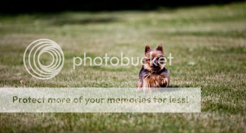 IMAGE: http://i495.photobucket.com/albums/rr311/X--FU51ON--X/June18th20126of32.jpg