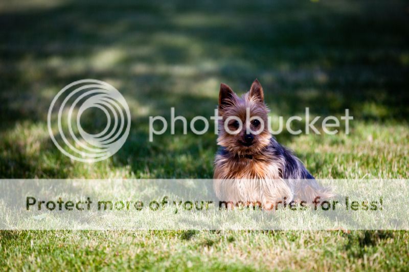 IMAGE: http://i495.photobucket.com/albums/rr311/X--FU51ON--X/June18th20128of32.jpg