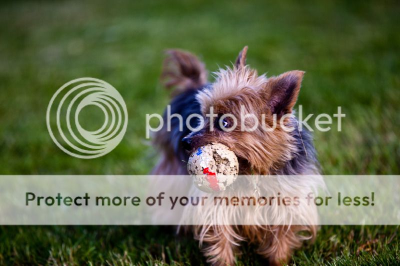 IMAGE: http://i495.photobucket.com/albums/rr311/X--FU51ON--X/June18th20129of32.jpg