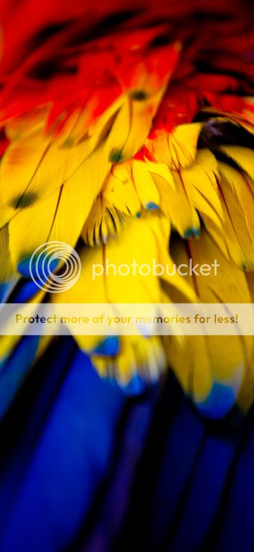 IMAGE: http://i495.photobucket.com/albums/rr311/X--FU51ON--X/Mexico2012306of313.jpg