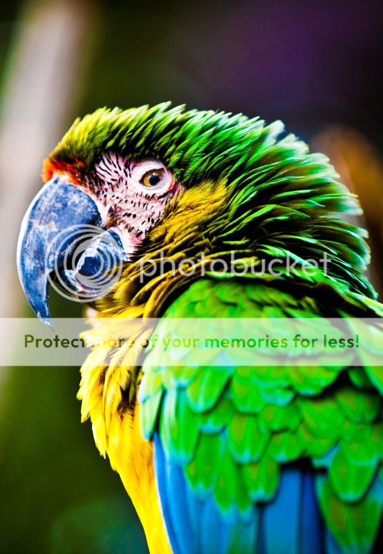 IMAGE: http://i495.photobucket.com/albums/rr311/X--FU51ON--X/Teaser19of1.jpg