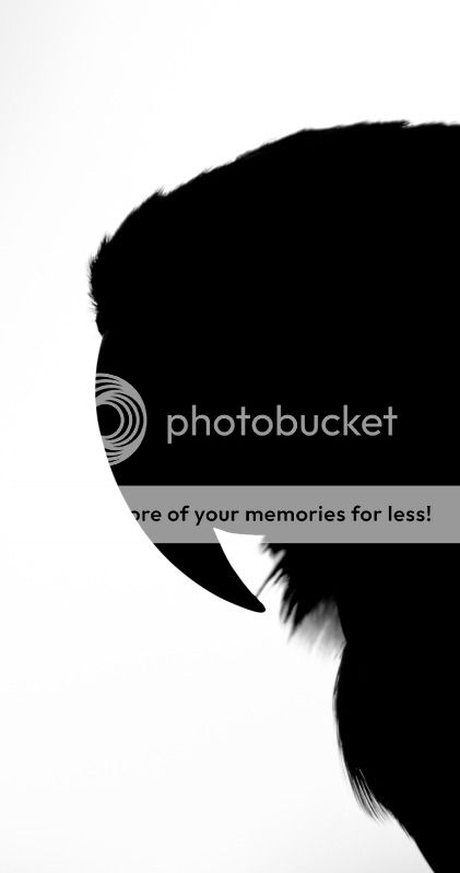 IMAGE: http://i495.photobucket.com/albums/rr311/X--FU51ON--X/Teaser2of1.jpg