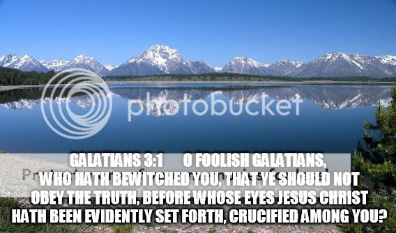  photo 1pd4v7_zpswigsc8lt.jpg