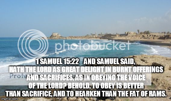  photo 5tr_zpshty4eyni.jpg