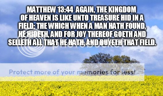 photo 134_zps4lbliiss.jpg