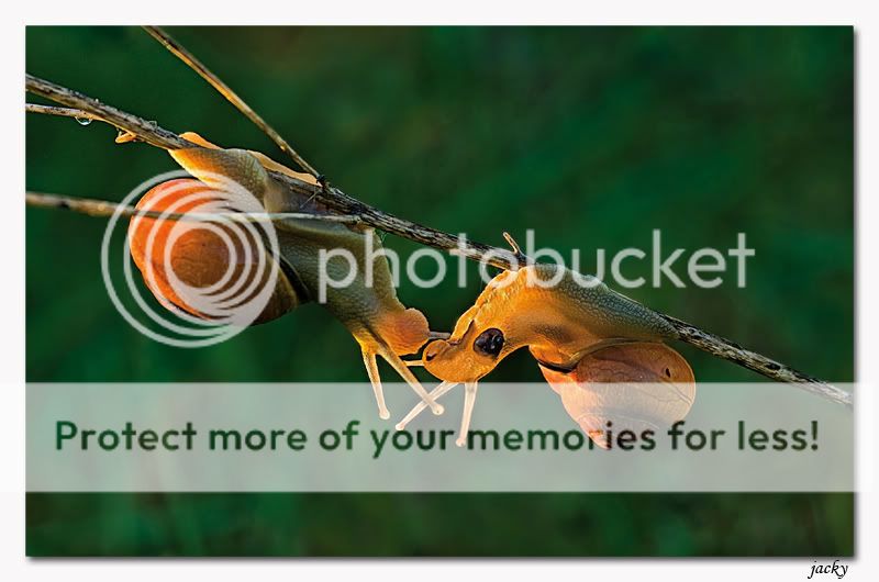 Fotografie