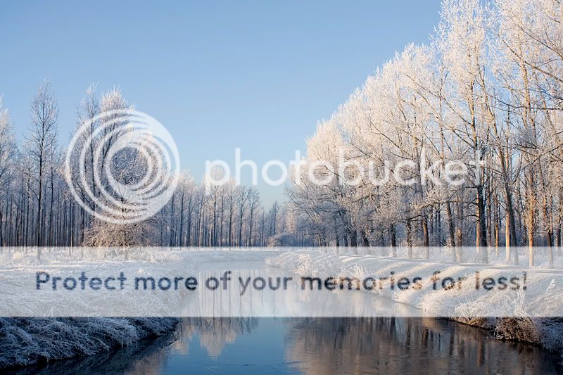Fotografie