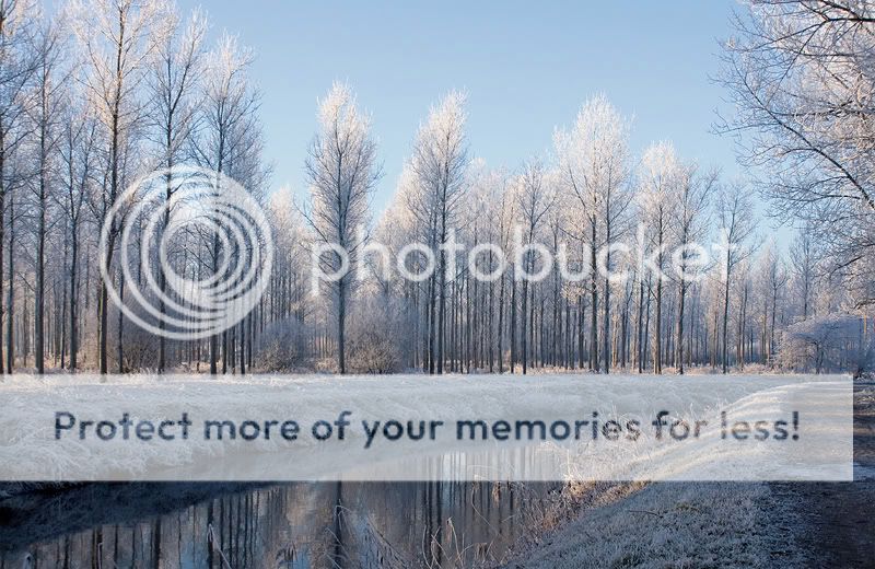 Fotografie