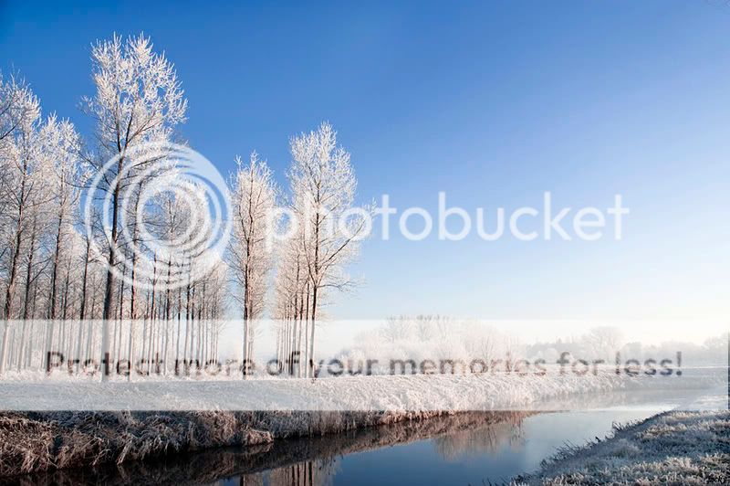 Fotografie