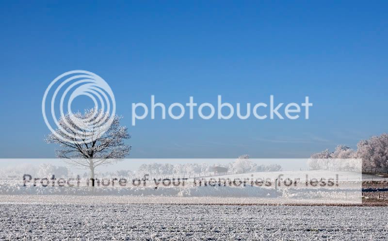 Fotografie