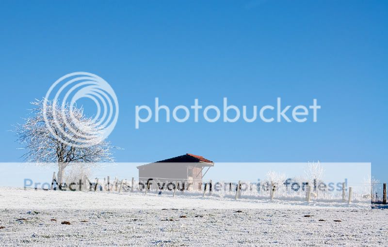 Fotografie
