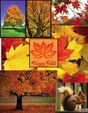 FallCollage.jpg image by GoldLadybug13