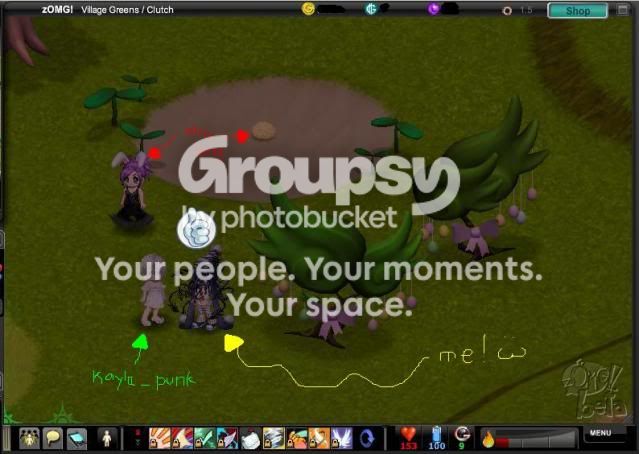 User Image